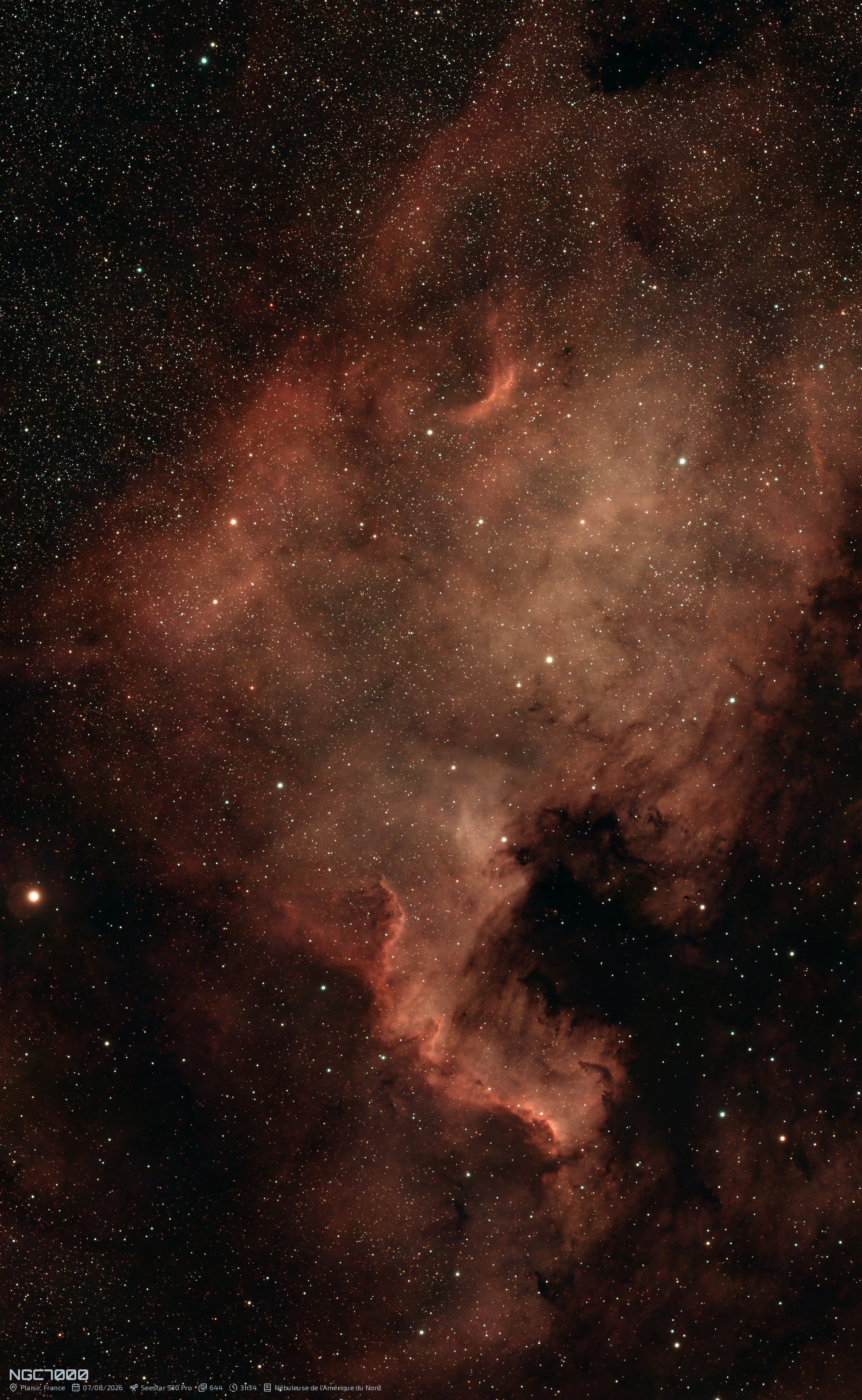 NGC7000: Nébuleuse de l'Amérique du Nord